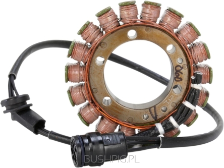 STATOR MUD CANAM