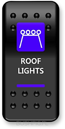 SWITCH ROCKER ROOF LIGHT