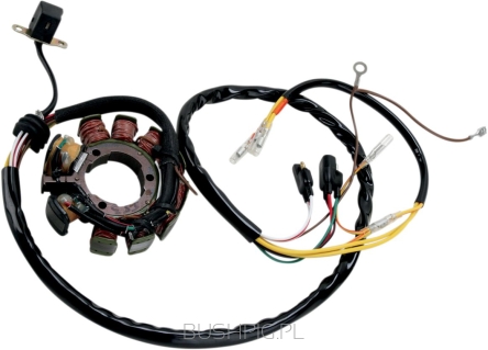 STATOR MUD POLARIS