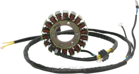 STATOR MUD POLARIS