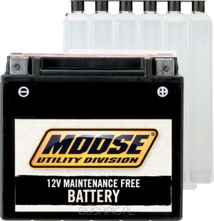 BATTERY MUD YTX14AH-BS